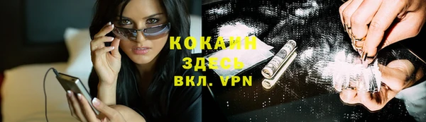 спайс Арсеньев