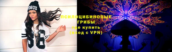 спайс Арсеньев