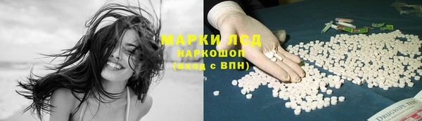 спайс Арсеньев