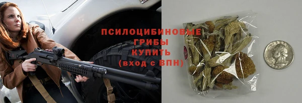 спайс Арсеньев