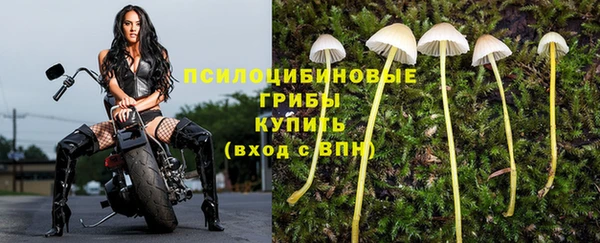 бошки Сатка