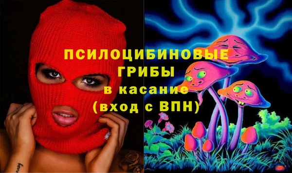 соль ск Аркадак